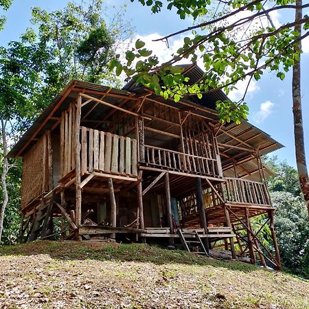 Orangutantreksumatra & Lovely Jungle Lodge Only Book If You Are Treking With Us Bukit Lawang Exterior foto