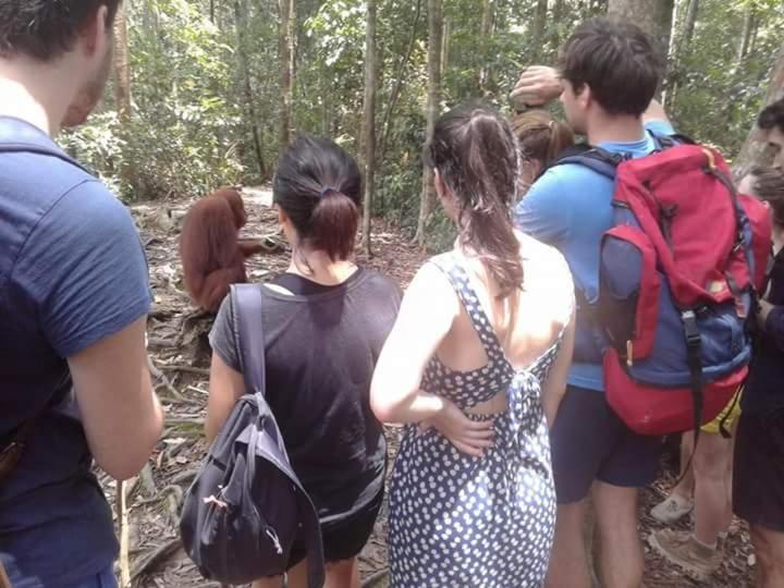Orangutantreksumatra & Lovely Jungle Lodge Only Book If You Are Treking With Us Bukit Lawang Exterior foto
