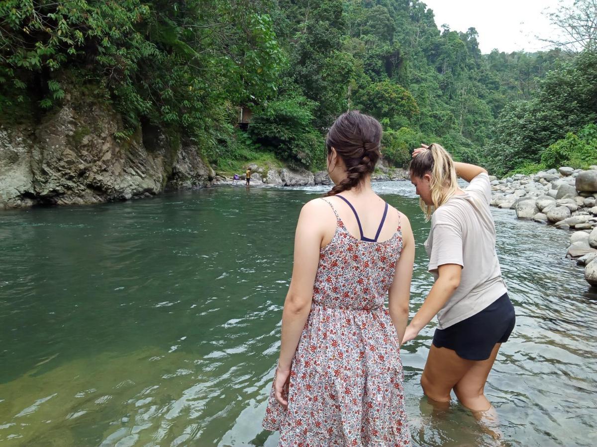 Orangutantreksumatra & Lovely Jungle Lodge Only Book If You Are Treking With Us Bukit Lawang Exterior foto