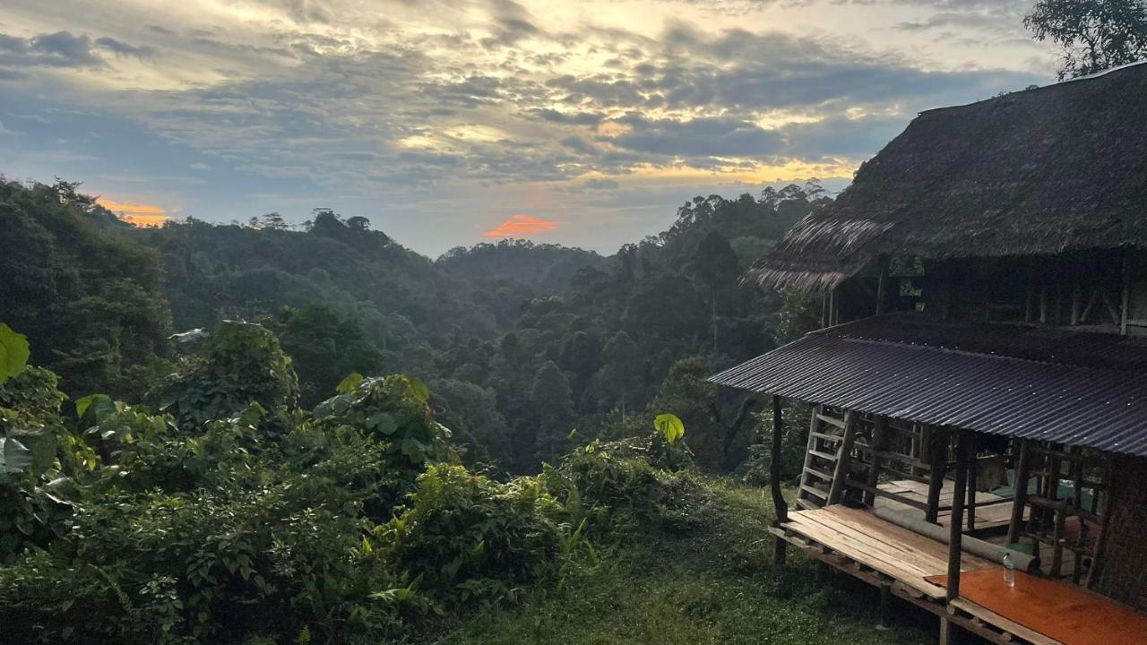Orangutantreksumatra & Lovely Jungle Lodge Only Book If You Are Treking With Us Bukit Lawang Exterior foto