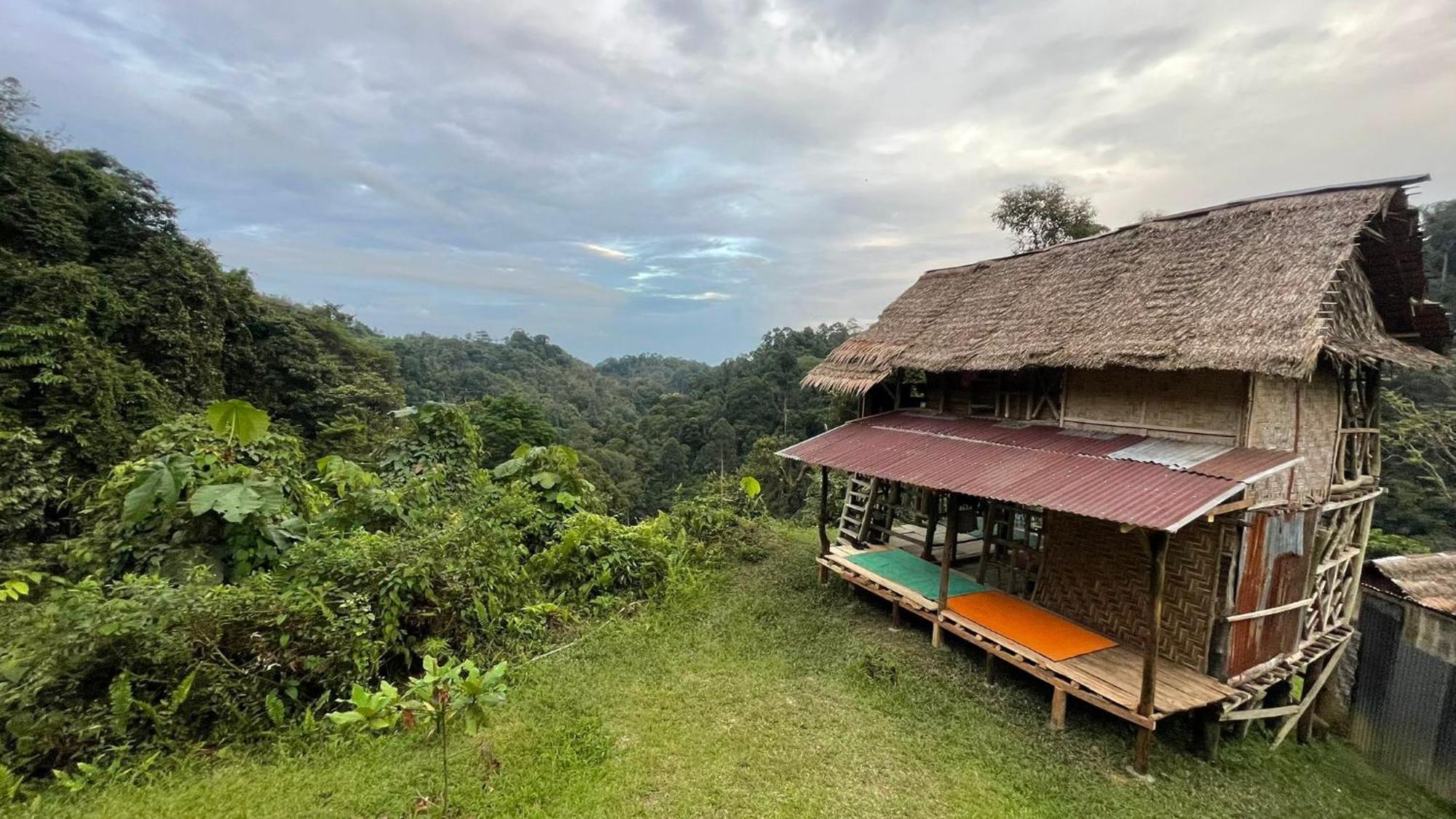 Orangutantreksumatra & Lovely Jungle Lodge Only Book If You Are Treking With Us Bukit Lawang Zimmer foto