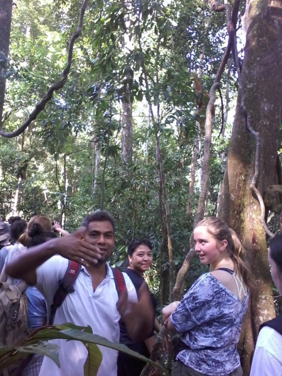 Orangutantreksumatra & Lovely Jungle Lodge Only Book If You Are Treking With Us Bukit Lawang Zimmer foto