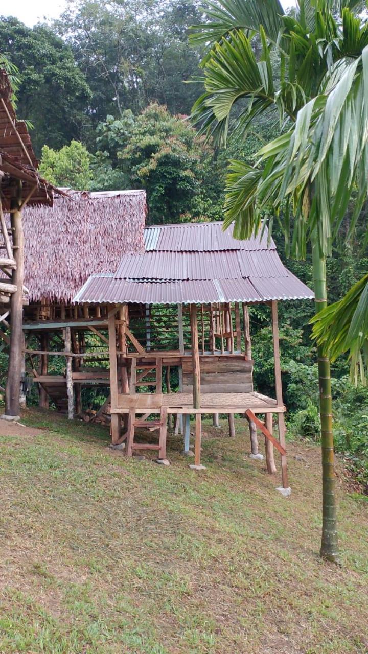 Orangutantreksumatra & Lovely Jungle Lodge Only Book If You Are Treking With Us Bukit Lawang Exterior foto