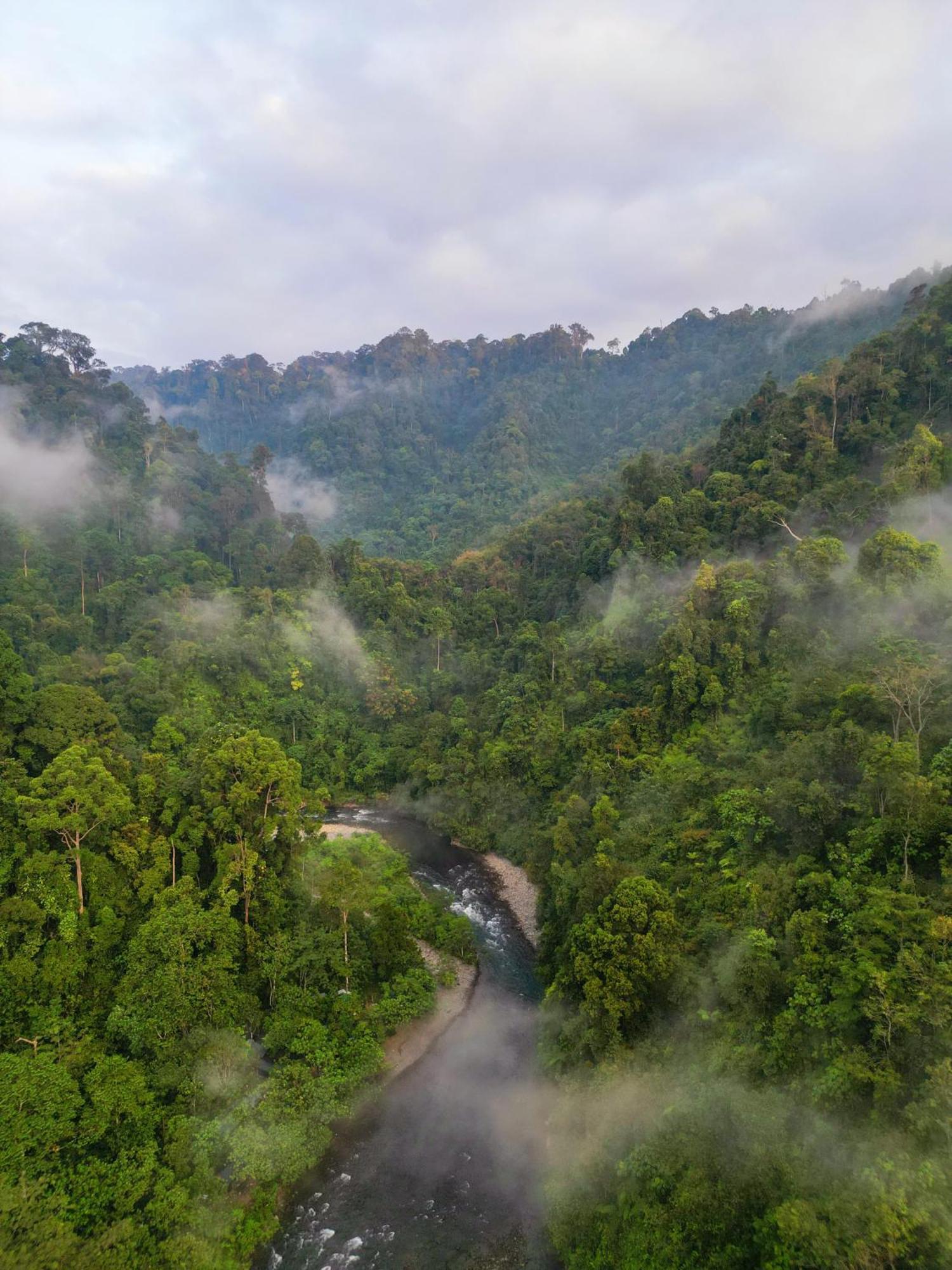 Orangutantreksumatra & Lovely Jungle Lodge Only Book If You Are Treking With Us Bukit Lawang Exterior foto