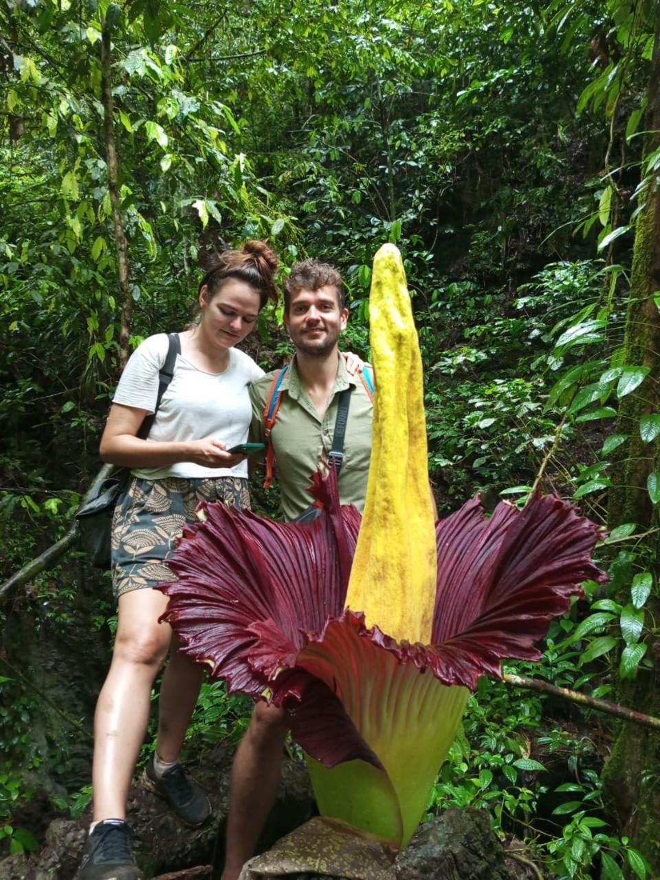 Orangutantreksumatra & Lovely Jungle Lodge Only Book If You Are Treking With Us Bukit Lawang Exterior foto