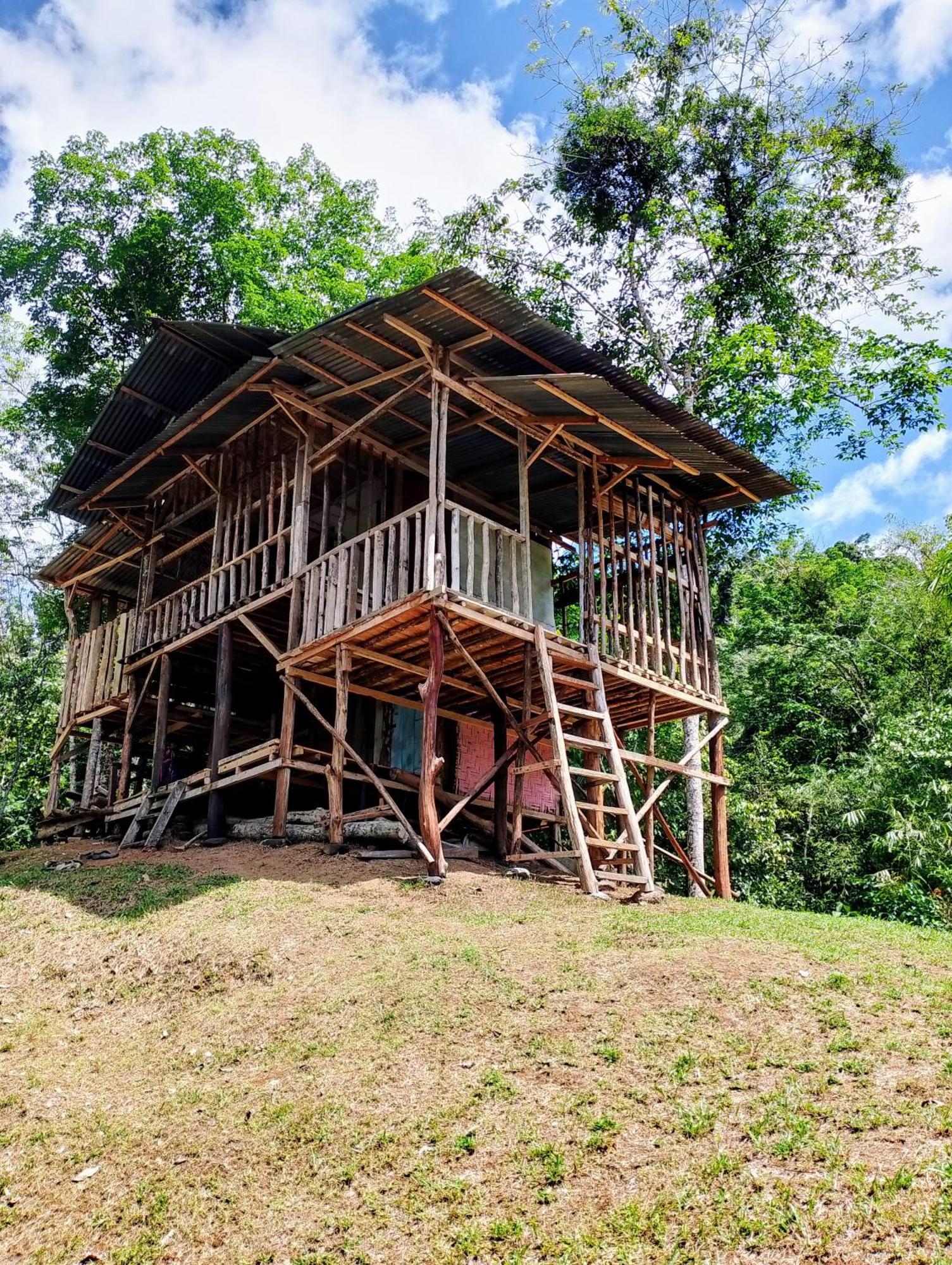 Orangutantreksumatra & Lovely Jungle Lodge Only Book If You Are Treking With Us Bukit Lawang Exterior foto